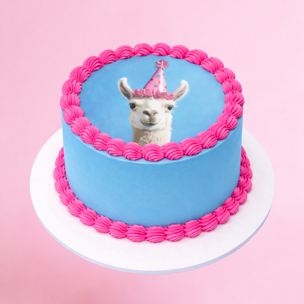 Edible Image Photo Cakes