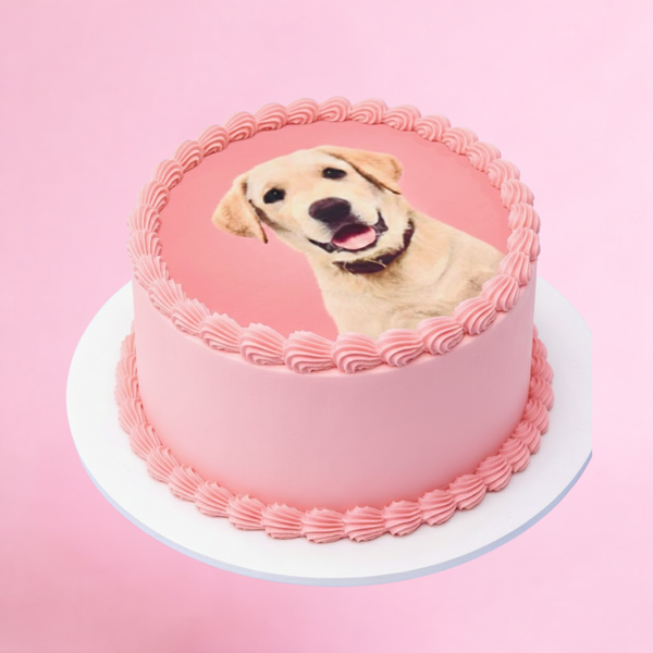 Edible Image Photo Cakes